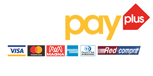 Logo webpay plus